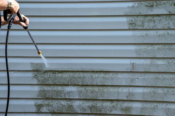 Best Custom Trim and Detailing for Siding  in Slocom, AL